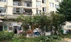 闵行丽园小区爆料事件最新
